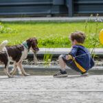 EVID_SCUOLE