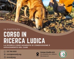 EVID_Ricerca-Ludica_AVS_Milano